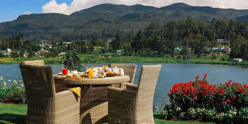 From Kandy: Nuwara Eliya by Train - Why this Kandy to Nuwara Eliya day works