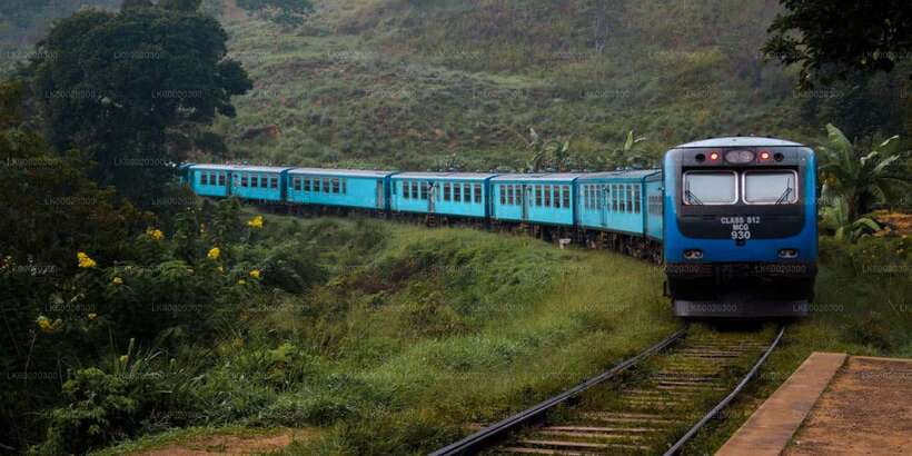 From Kandy: Nuwara Eliya by Train - Three hours through tea country