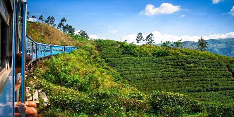 From Kandy: Nuwara Eliya by Train - Nanuoya station and the climb to Nuwara Eliya