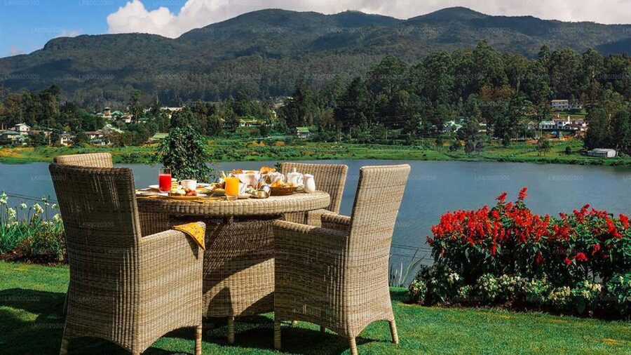 From Kandy: Nuwara Eliya by Train - What the $80 price really covers