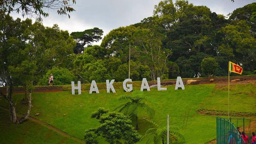From Kandy: Nuwara Eliya Tour via Ambuluwawa [Private Tour] - Tea country at Storefield Tea Factory