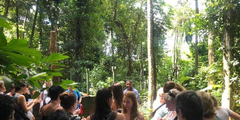 From Kandy: Pinnawala Day Tour - Tea, spices, wood carving, and the buying stops