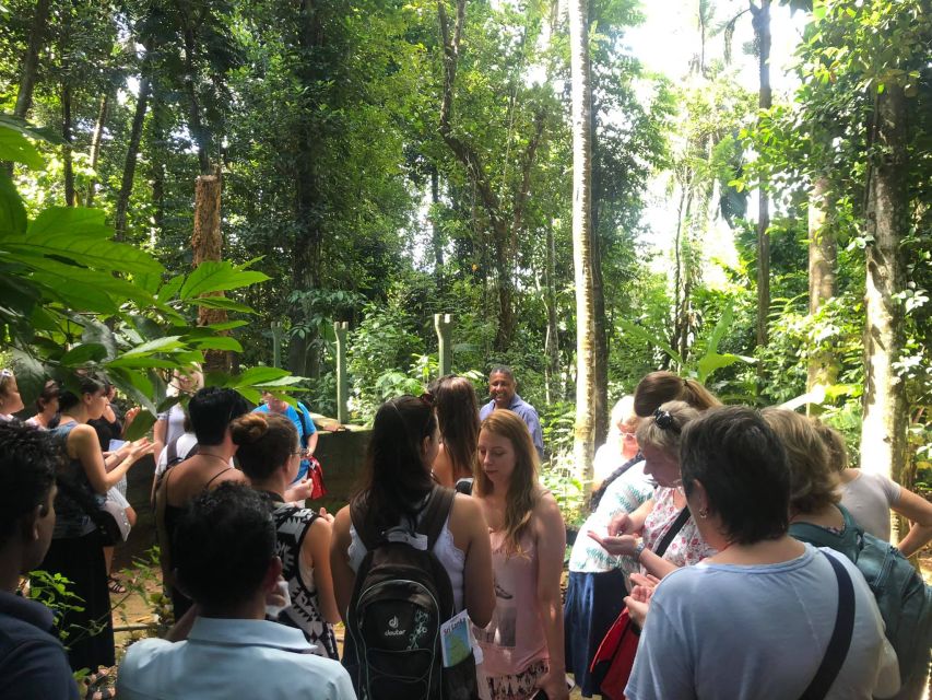 From Kandy: Pinnawala Day Tour - Kandy’s temples, viewpoints, and evening culture