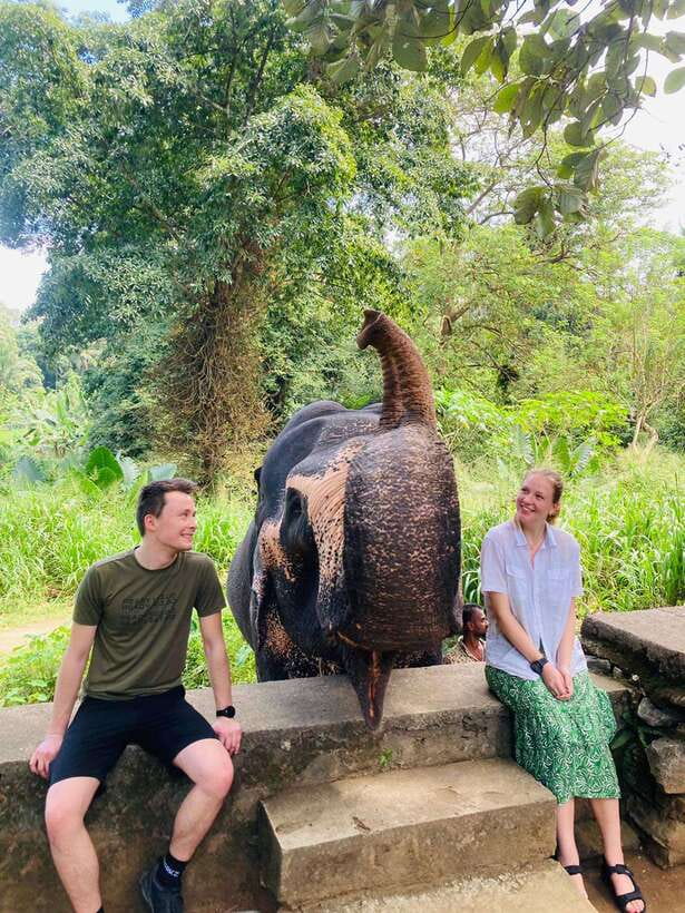From Kandy : Pinnawala Elephant Orphanage & Ambuluwawa Tower - What Makes This Tour Worth Considering