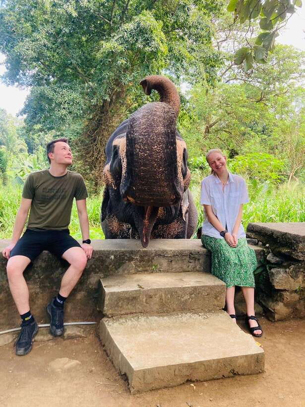 From Kandy : Pinnawala Elephant Orphanage & Ambuluwawa Tower - Gardens, Tea, Spices, and Traditional Crafts