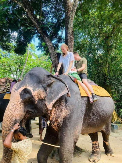 Pinnawala Elephant Orphanage & Ambuluwawa Tower