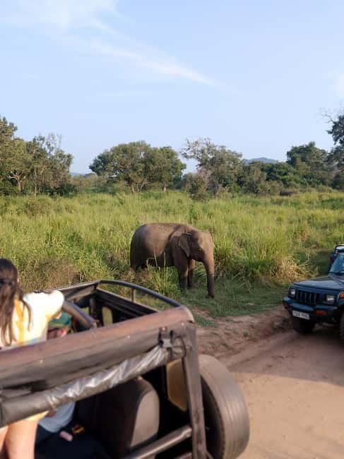 From Kandy: Sigiriya & Dambulla Day Tour with Safari - Why This Combination Works