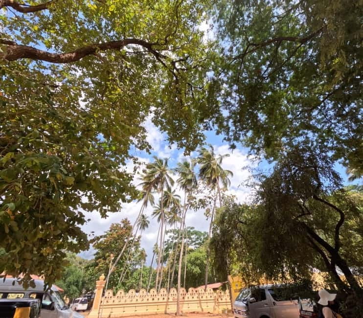 From Kandy: Sigiriya & Dambulla Day Tour with Safari - What the Guide Adds