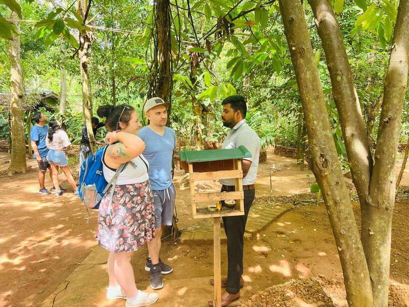 From Kandy: Sigiriya Day Tour with Elephant Safari(group) - A big Sri Lankan day from Kandy