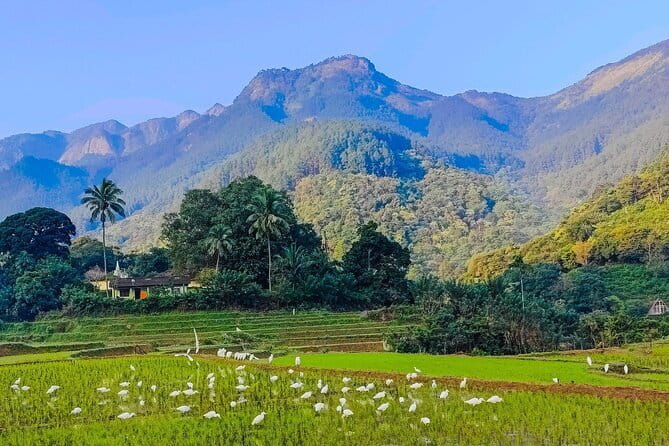 From Kandy to ELLA Private day tour - Physical effort, weather, and useful planning