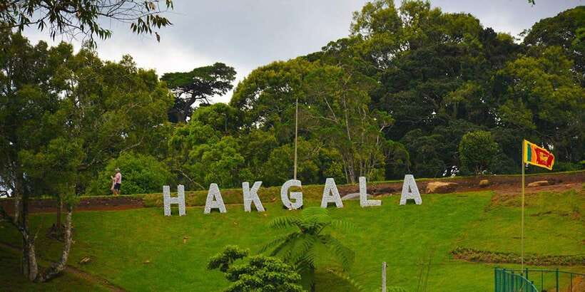 From Kandy To Nuwara Eliya Drop Tour - Private Tour - Ramboda Viewpoint and Ramboda Waterfall