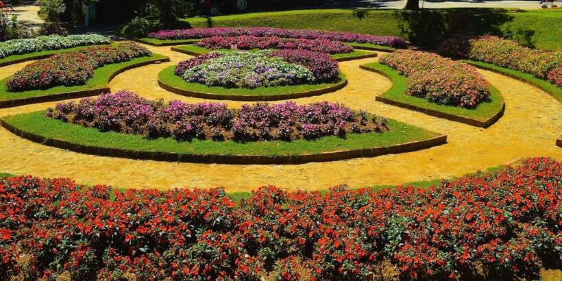 From Kandy To Nuwara Eliya Drop Tour - Private Tour - Guides, driving, and the private format