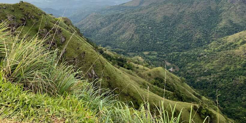 From kandy Train, and Pool Club Day Tour with Pickup - Nuwara Eliya and a cup of Ceylon tea