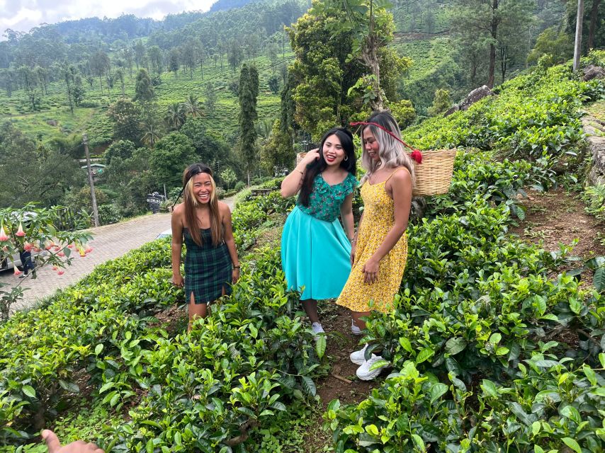 From kandy Train, and Pool Club Day Tour with Pickup - The timing problem you should take seriously