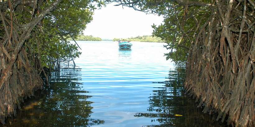 From Negombo: Bentota Full-Day Tour - What to Pack and What to Leave Behind
