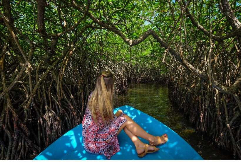 From Negombo: Exclusive Madu River Safari & Turtle Hatchery - Key points to know before booking
