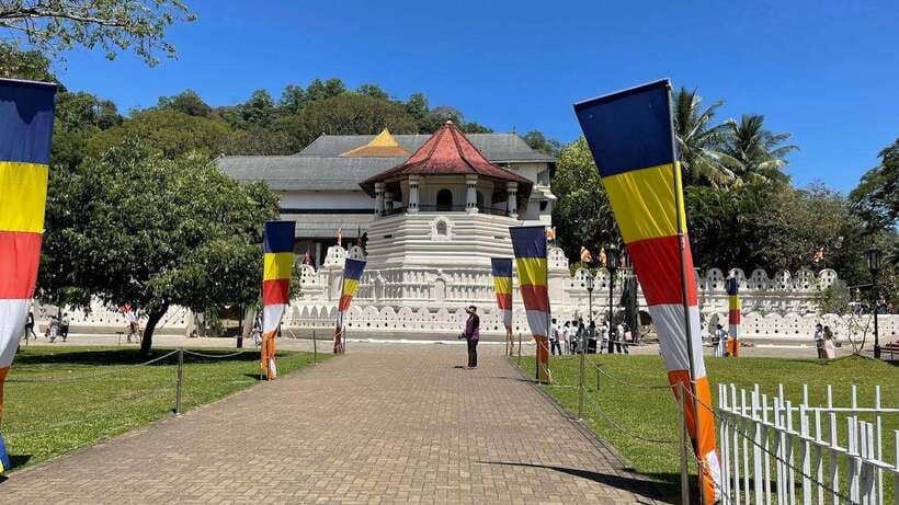 From Negombo : Pinnawala & Tea Factory & Kandy Full Day Trip - A very early start from Negombo
