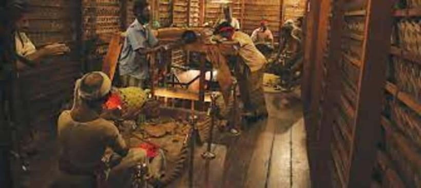 From Negombo : Pinnawala & Tea Factory & Kandy Full Day Trip - Royal Botanic Gardens, Kandy