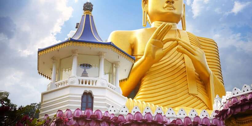 From Negombo: Sigiriya and Dambulla Day Trip and Safari - The long return to Negombo