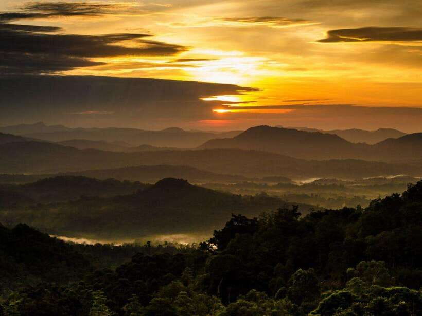 From Nuwara Eliya: Summit Bliss, Adams Peak Guided Hike - Key details that shape the experience