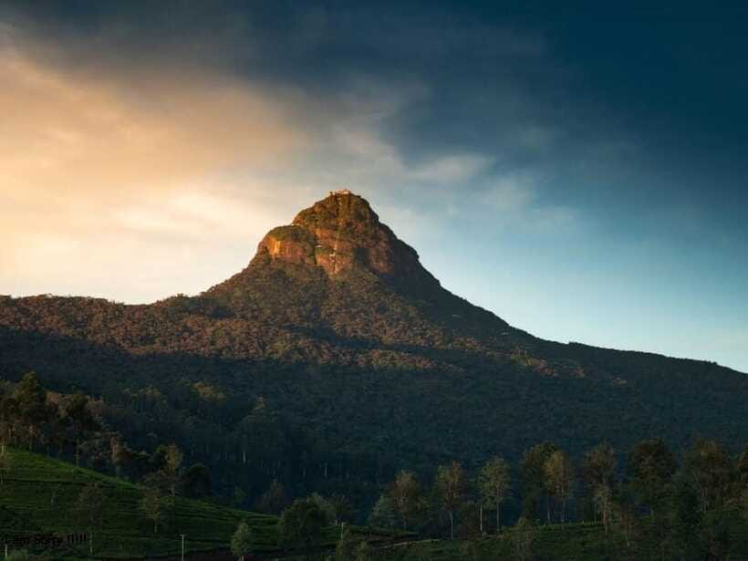From Nuwara Eliya: Summit Bliss, Adams Peak Guided Hike - Who will enjoy this hike most