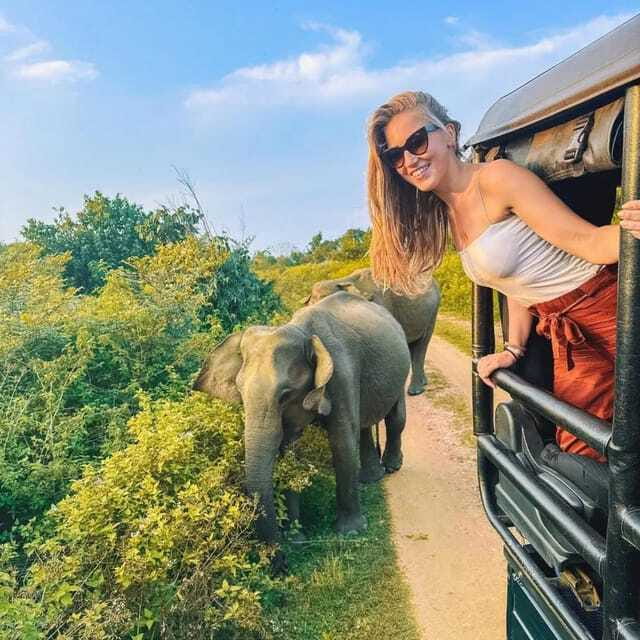 From Sigiriya : Hurulu Eco Park Safari : All Inclusive - What the $31 price really covers