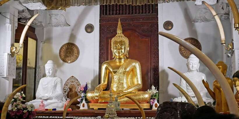From Sigiriya: Kandy Transfer with Dambulla and Spice Garden - Key points to know before booking