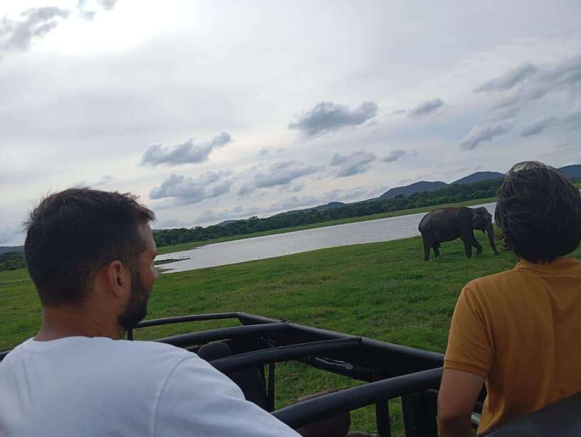 From Sigiriya: Minneriya National Park Half-Day Jeep Safari - Watching the elephants near the reservoir