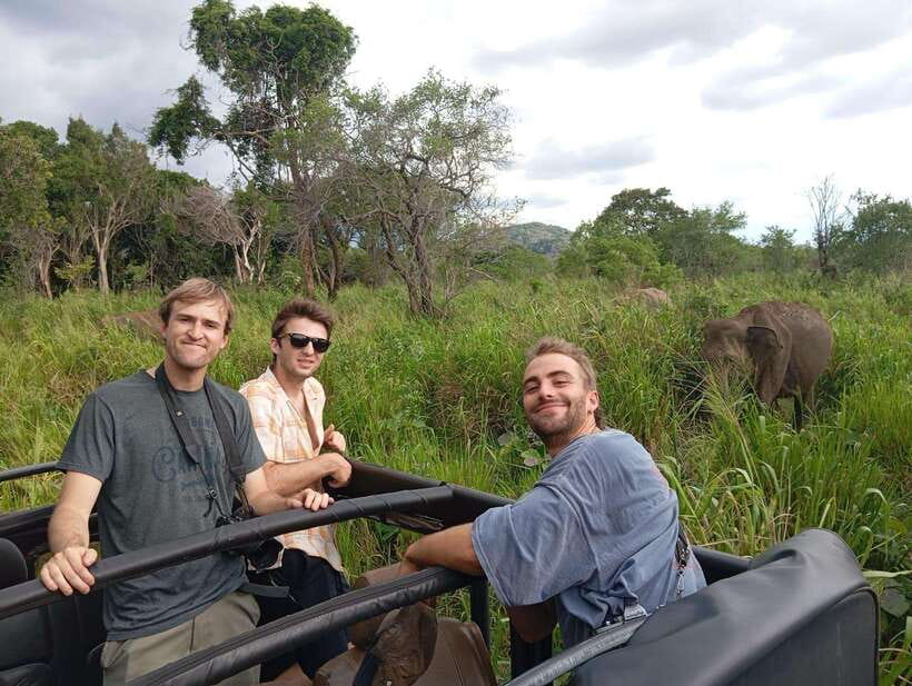 From Sigiriya: Minneriya National Park Half-Day Jeep Safari - Starting from Sigiriya, Habarana, or Dambulla
