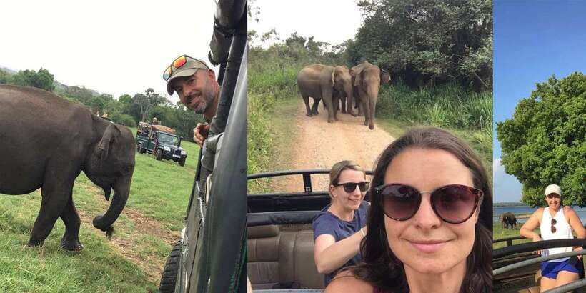 From Sigiriya: Polonnaruwa Ancient City & Minneriya Safari - Minneriya, Kaudulla, and the elephant gathering