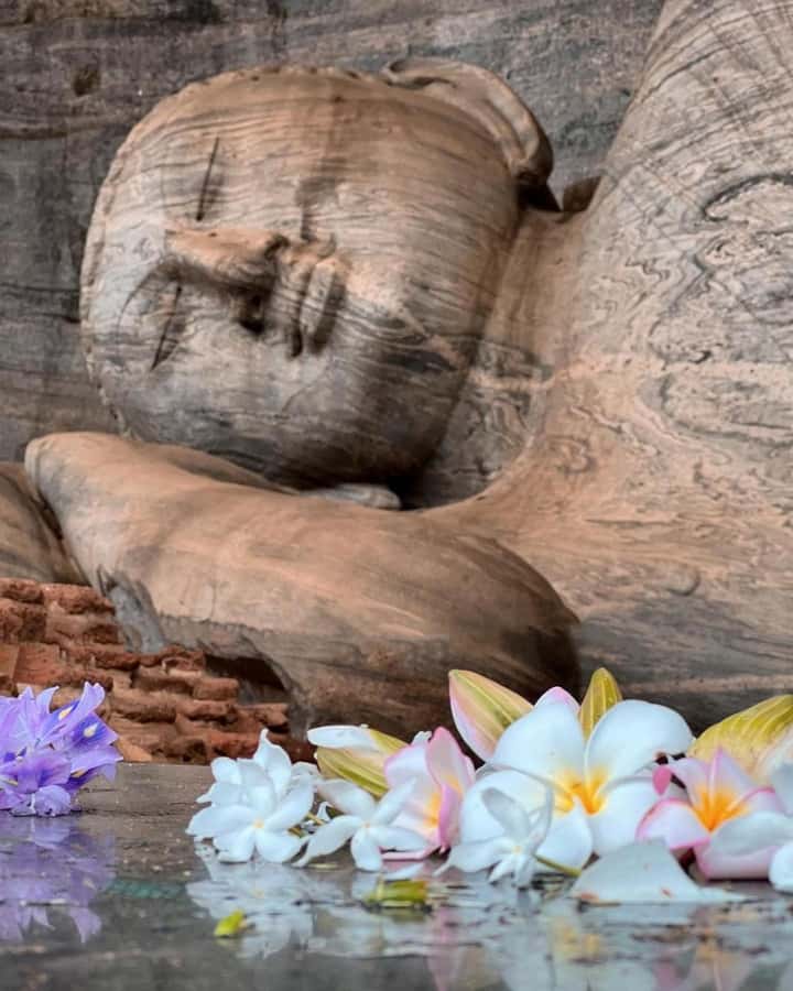 From Sigiriya :Polonnaruwa Ancient City Tour/Day Tour - The Royal Palace Complex and ancient power