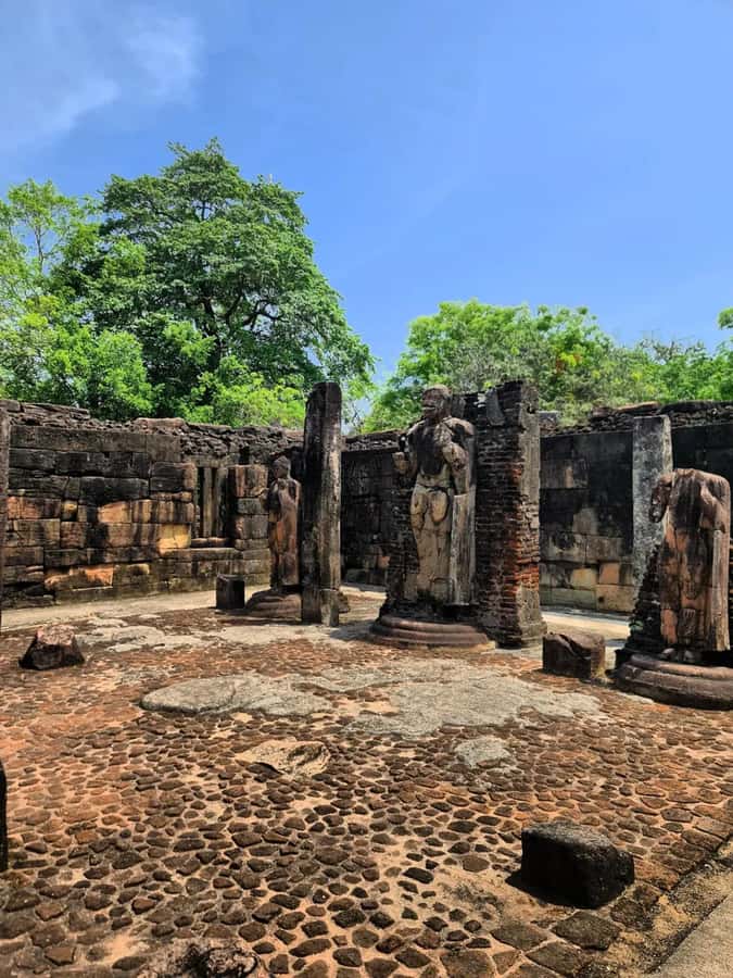 From Sigiriya :Polonnaruwa Ancient City Tour/Day Tour - Parakrama Samudra and Sri Lanka’s water tradition