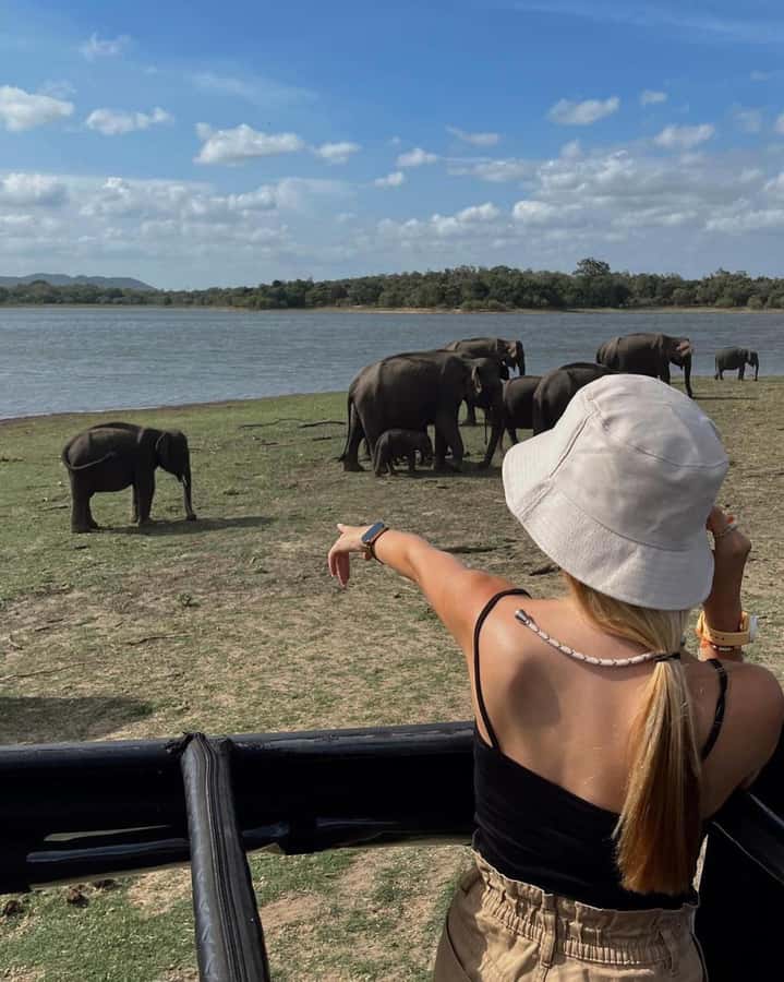 From Sigiriya :Polonnaruwa Ancient City Tour/Day Tour - What the $49 price really covers