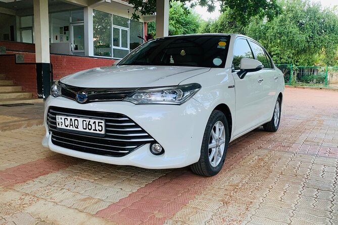 From Sigiriya to Kandy Transfer by Private Comfortable Car - Leaving Sigiriya without wrestling with bus schedules