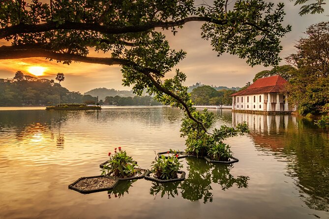 From Sigiriya to Kandy Transfer by Private Comfortable Car - A private ride makes the hotel change easier