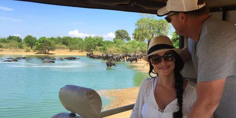 From Tangalle/Hiriketiya: Ella Transfer & Udawalawe Safari - Practical advice for a smoother day