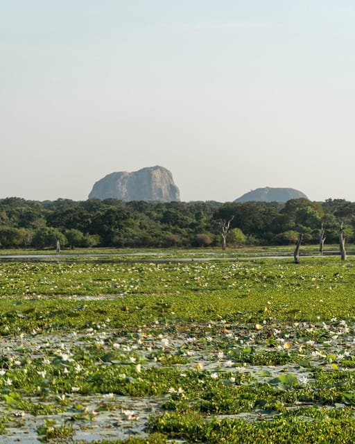 From Tangalle / Hiriketiya - Yala Safari - Drop-off : Ella - Practical ways to get more from the day