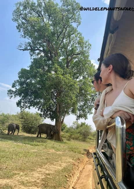 From Tangalle/ Hiriketiya: Yala Safari with Drop: Ella - From Yala to Ella
