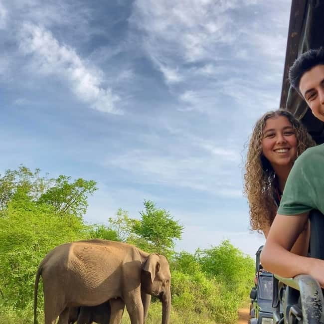 From Tangalle/ Hiriketiya: Yala Safari with Drop: Ella - Who will get the most from this experience