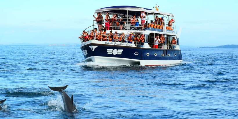 From Tangalle: Mirissa Whale Watching Tour with Breakfast - Leaving Tangalle for Mirissa Pier