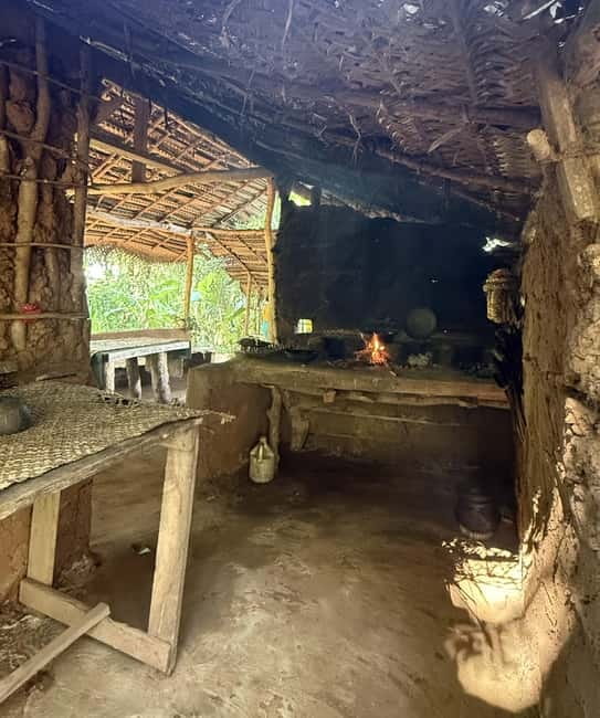 From Trincomalee: Village Tour & Minneriya Elephant Safari - Why this Trincomalee day trip works