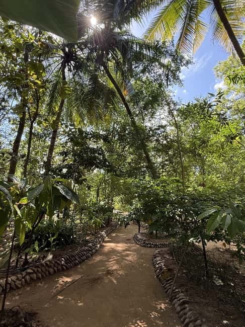From Trincomalee: Village Tour & Minneriya Elephant Safari - What the full 12 hours feel like
