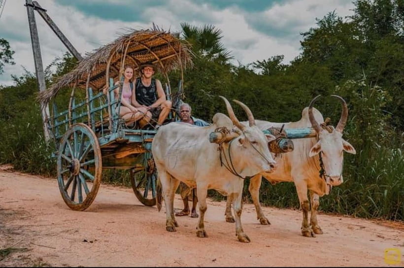 From Trincomalee: Village Tour & Minneriya Elephant Safari - What the $118 price really includes