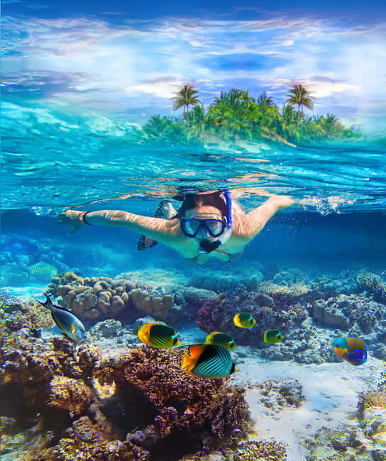 From Uppuveli Beach: Pigeon Island Snorkeling Tour - Key points to know before booking
