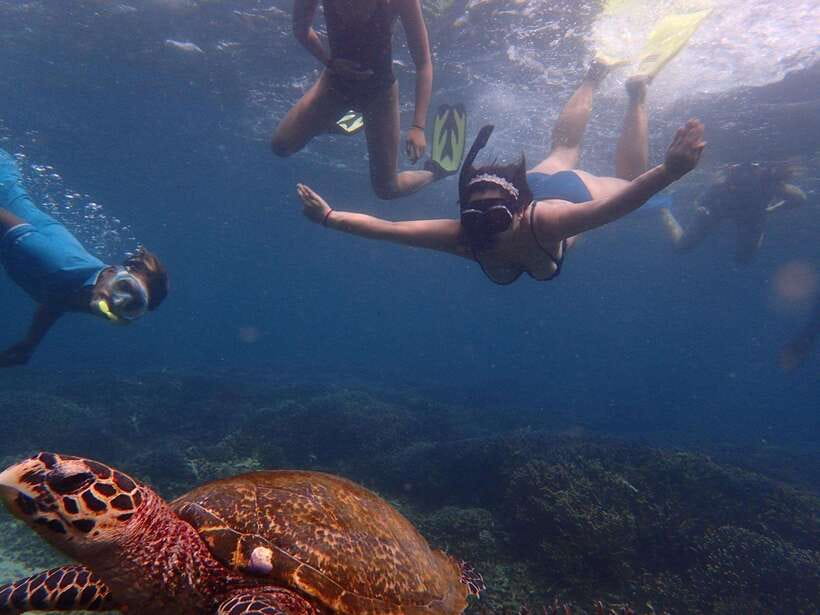 From Uppuveli Beach: Pigeon Island Snorkeling Tour - Starting at Fernando’s Beach Market at 8:30 AM