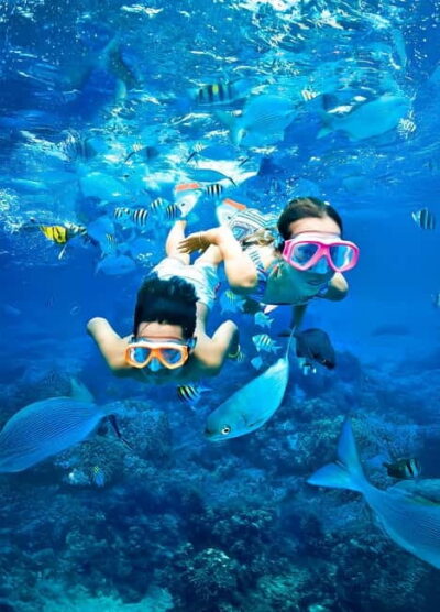 Pigeon Island Snorkeling Tour