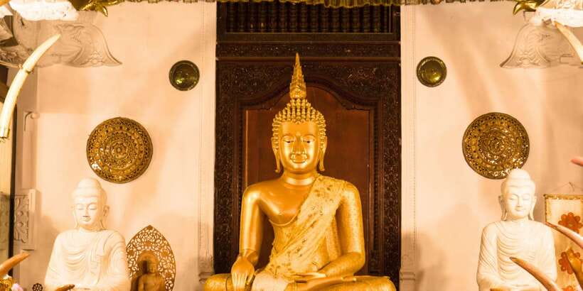From west coast: Kandy, Tooth temple, Botanical & Tea garden - What the $84 price really covers