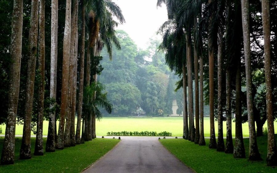 From west coast: Kandy, Tooth temple, Botanical & Tea garden - Who will enjoy this day most?