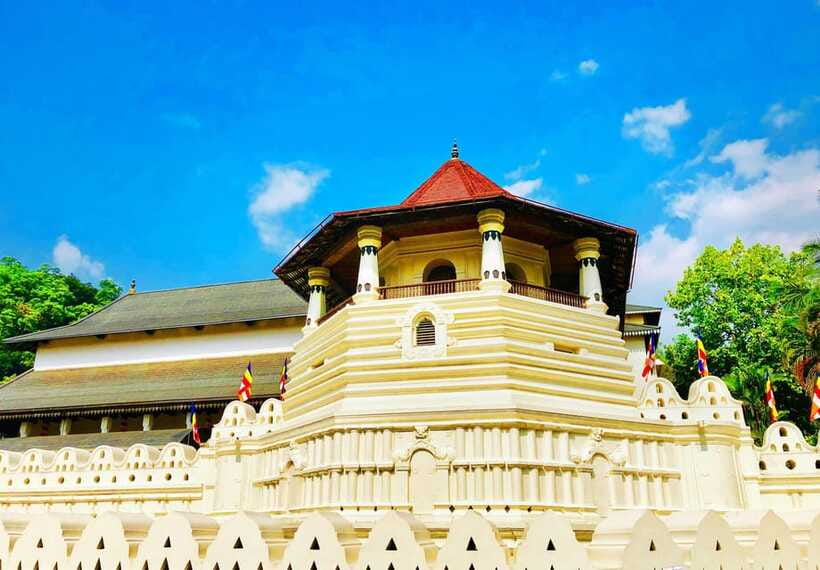Full Coverage Kandy City Day Tour - Tea at Pilimathalawa Tea Factory