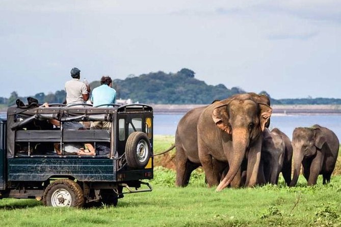 Full-Day Minneriya and Kaudulla National Parks Private Safari - Key points at a glance